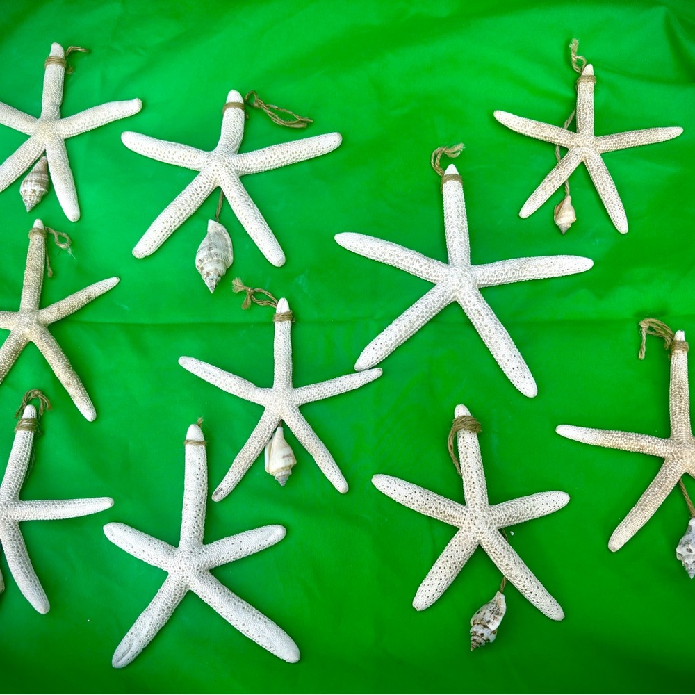 Decorative Starfish Ornaments & Decor (10)